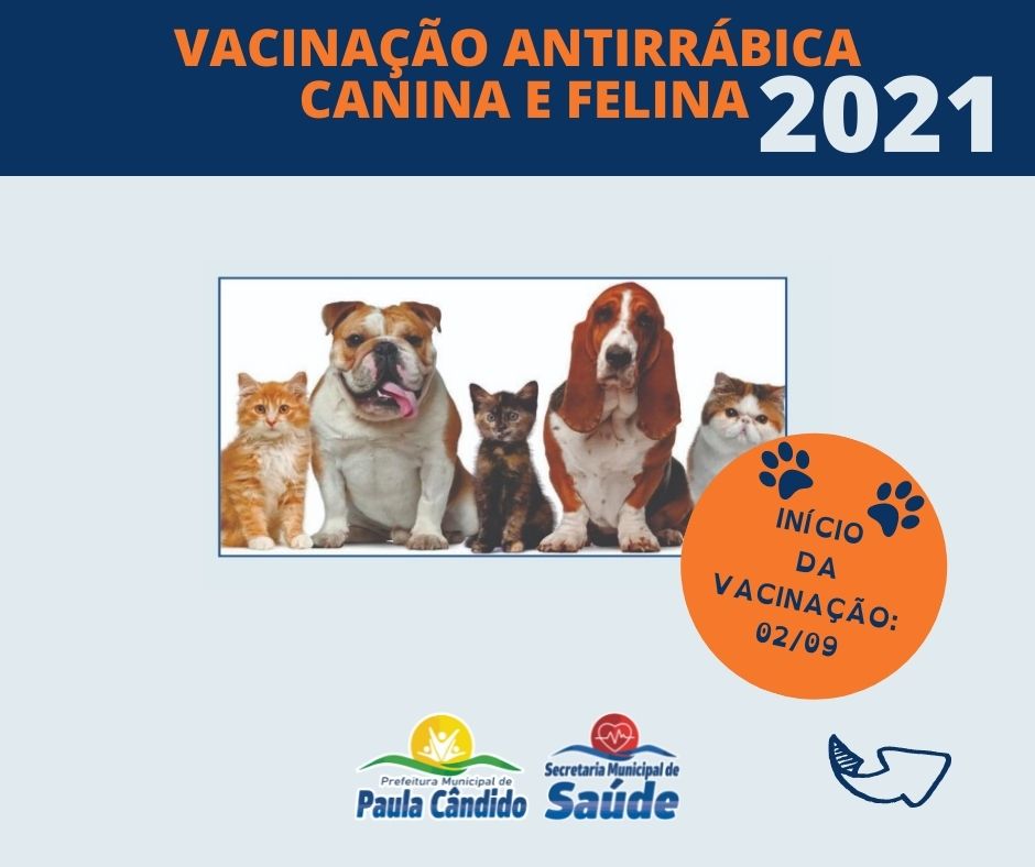 Notícias Prefeitura Municipal de Paula Cândido - Vacinação antirrábica tem início em Paula Cândido